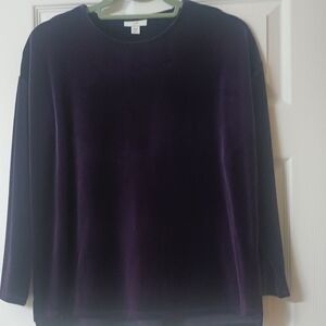 Purple Velvet Long Sleeve Top